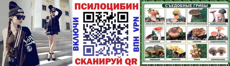 Купить Ленинск-Кузнецкий Псилоцибиновые грибы мицелий